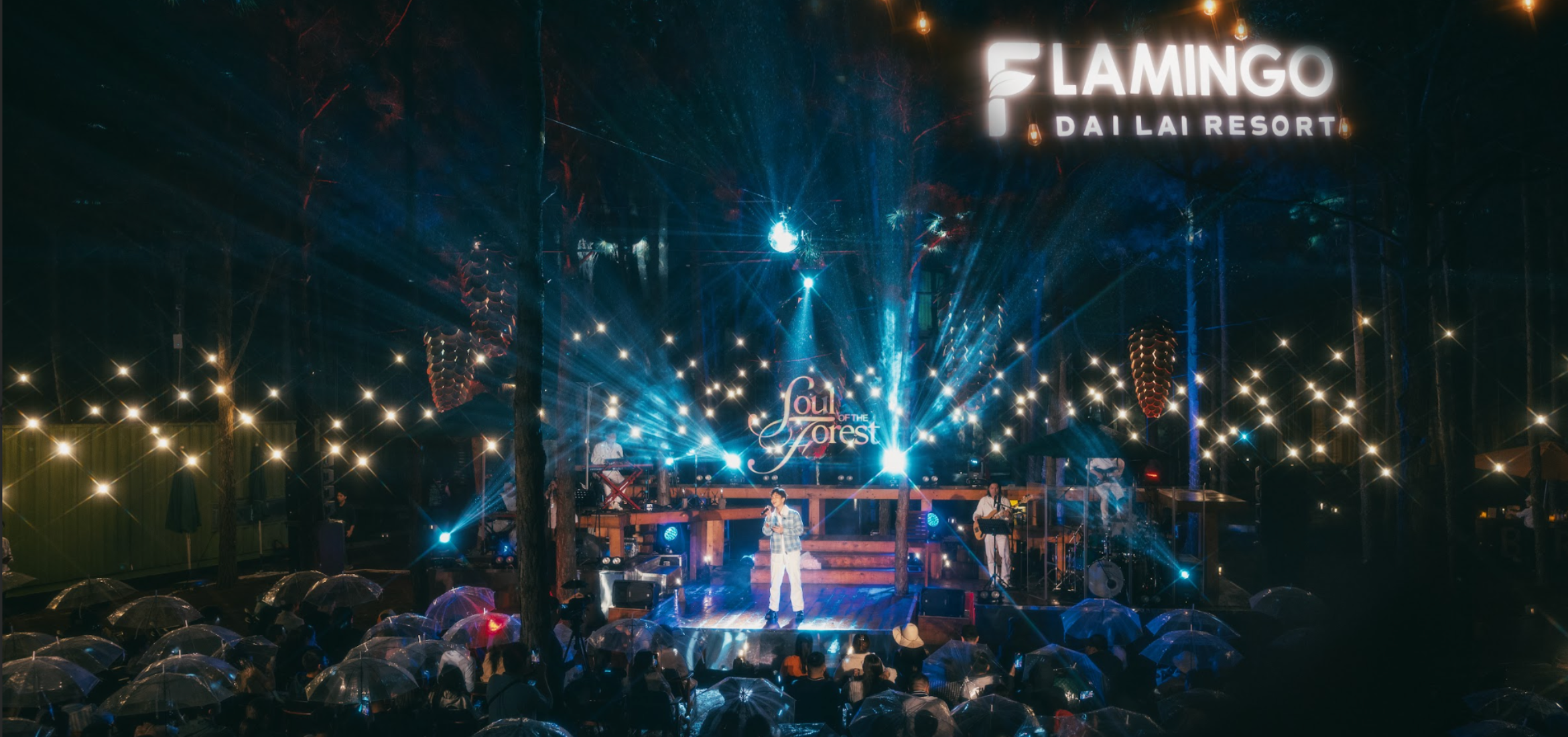 Soul of the Forest music night show Muse captivates audience | Flamingo